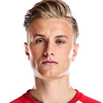 J.范德韦尔夫